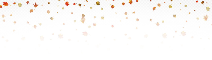 Realistic falling autumn leaves. Autumn flying orange foliage on transparent background, isolated template vector illustration