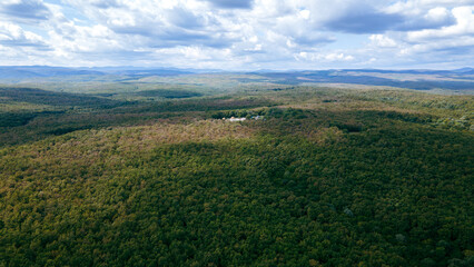 Fototapeta premium Forest view from above with drone. Perfect green tones of nature and forest. Dozens of kinds of trees, green forests. Forest view from drone.