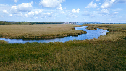 Lake and forest view in cloudy weather. The perfect nature of İğneada. Lake and forest in aerial drone view. Türkiye, İğneada, Mert Lake shot from above with a drone.