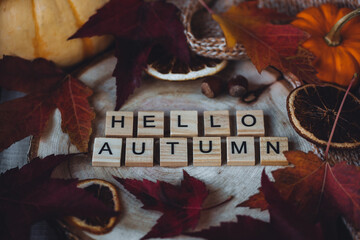 Hello autumn text on dark wooden background. Composition with bright autumn leaves, pumpkin, dry...