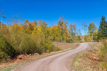 Fototapeta na wymiar autumn road on Pinyon Mesa in western Colorado