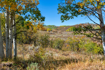 High ranch land in western Colorado in autumn with foreground focus