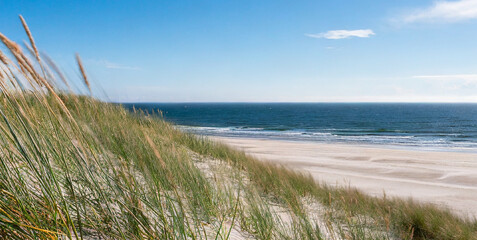 dunes with beach grass at the wide beach at northern denmark high quality photo 