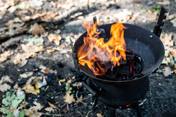 Autumn forest barbecue with fire, coals.