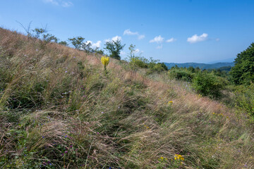 Landscape of Erul mountain near Kamenititsa peak, Bulgaria