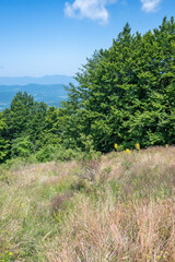 Landscape of Erul mountain near Kamenititsa peak, Bulgaria