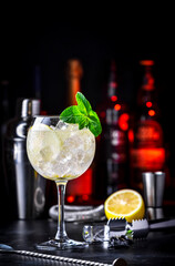 Martini tonic cocktail with vermouth, tonic, lemon, mint and ice. Black bar counter background, steel tools and bottles
