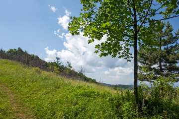 Fototapeta premium Landscape of Erul mountain near Kamenititsa peak, Bulgaria