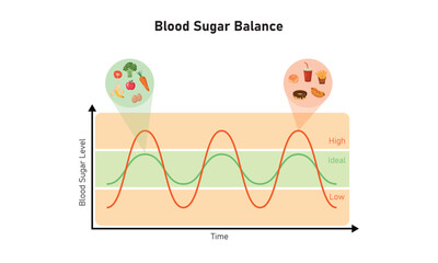 Blood Sugar Balance Graph Scientific Design. Vector Illustration.