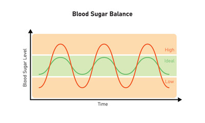 Blood Sugar Balance Graph Scientific Design. Vector Illustration.