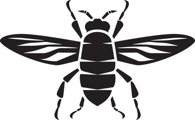 Elegance in the Night Cicada Symbol in Monochromes Tune Noir Natures Symphony Black Insect Emblem in Harmony