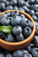 Tasty fresh blueberries and bowl, closeup view
