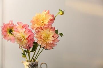 Beautiful dahlia flowers in jug on light background, space for text. Autumn mood