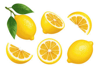 Lemon. Set of lemons isolated on a white background. A whole lemon with leaves, cut in half and into slices.