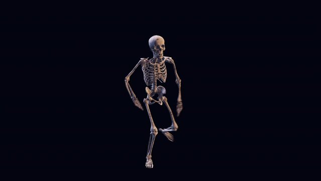 Looped animation of a dancing skeleton isolated on a black screen