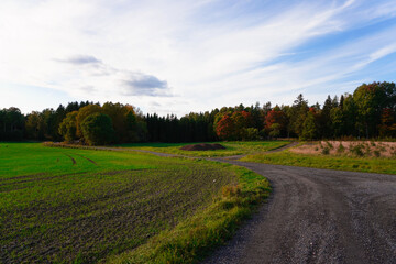 Fototapeta na wymiar Scenic view of agricultural field against sky