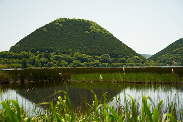 綺麗な山がある藺牟田池の自然風景