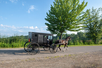 Fototapeta na wymiar Amish Buggy in Summer in Lowlands