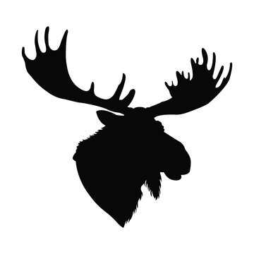 recommend clip art: Moose Head Silhouette on White