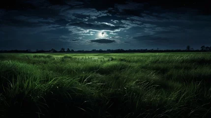 Tableaux ronds sur aluminium brossé Prairie, marais Grass field illuminated by moonlight.