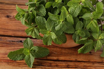 Bowl with fresh green mint leaves on wooden table, closeup