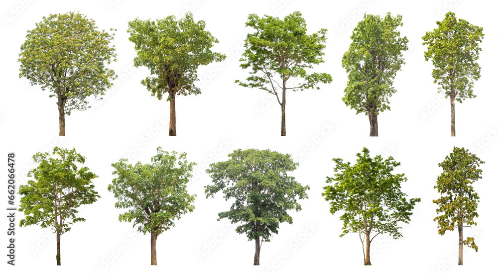Aufkleber Collection of green trees isolated on transparent background. for easy selection of designs..