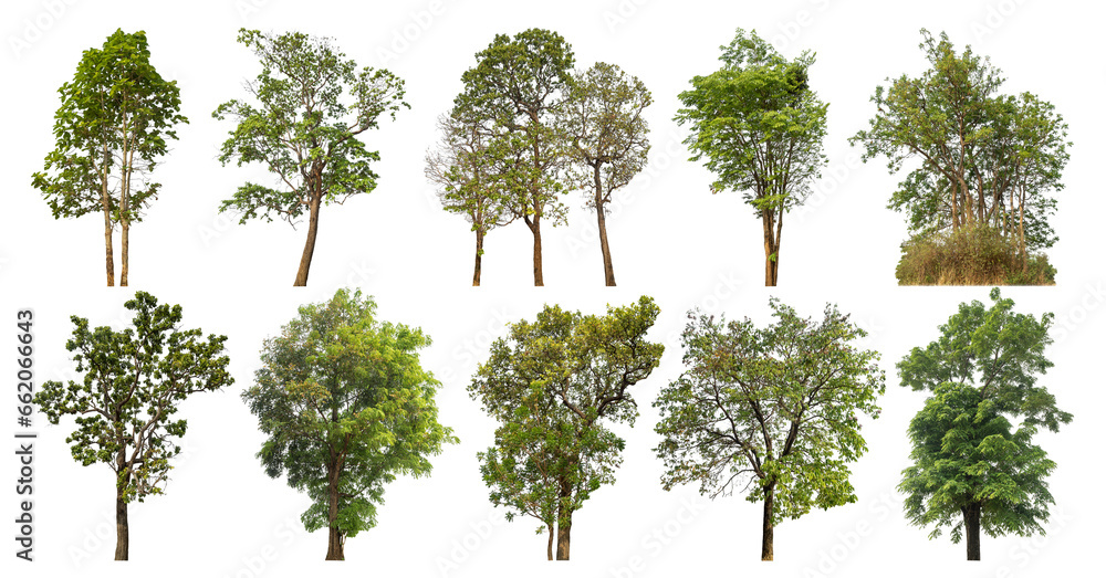 Aufkleber collection of green trees isolated on transparent background. for easy selection of designs.