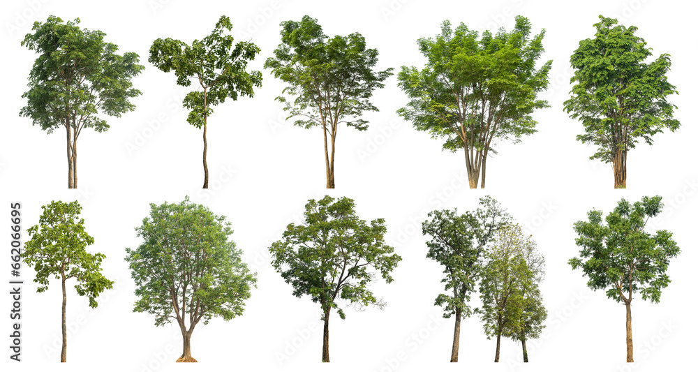 Aufkleber collection of green trees isolated on transparent background. for easy selection of designs.