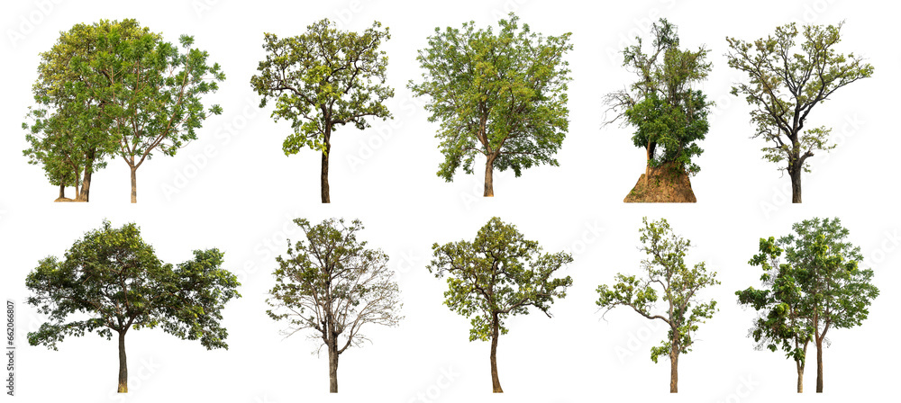 Aufkleber collection of green trees isolated on transparent background. for easy selection of designs.