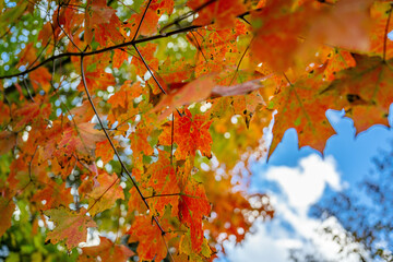 autumn in the mountains