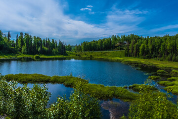 Obraz premium Bog and wetlands near Talkeetna Alaska