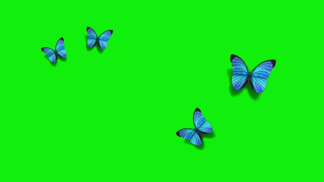 four butterflies flying on a green background 