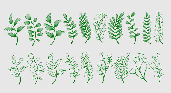Aesthetic Leaf Line Art Collection.