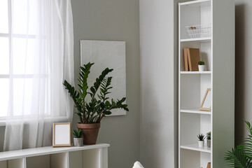 Interior of living room with shelf units and houseplants