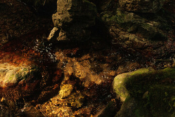 山奥の渓流に小さな滝の流れ