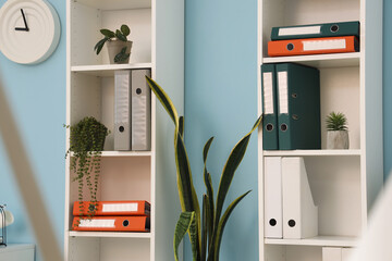 Shelf units with document folders and plants in office - obrazy, fototapety, plakaty