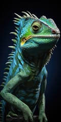 Fototapeta premium An iguana perched on a tree branch