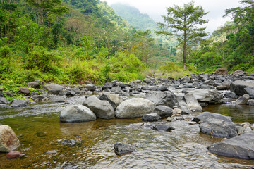 Rocky river water flow with green rice fields on the river side in Muria Mountains, Tempur Village, Jepara Regency, Central Java, Indonesia.