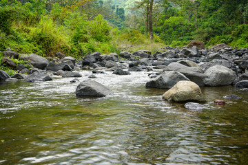 Rocky river water flow with green rice fields on the river side in Muria Mountains, Tempur Village, Jepara Regency, Central Java, Indonesia.