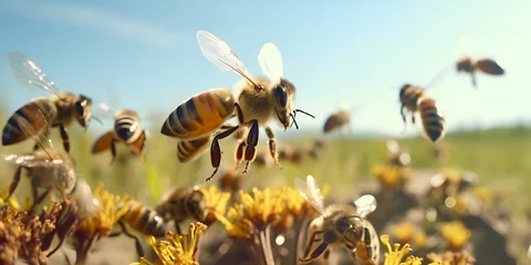 Fotobehang  pesticides harmful to wild bees, butterflies ,Honey bees ,Bees working on honeycomb ,Two bees are fighting over a flower with the word bee on it generative ai   © Hadi