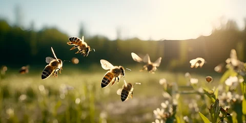 Fotobehang bee on the field,bee, fly, animal, pollen, honey, bumblebee, garden, yellow, flying generative ai © Hadi