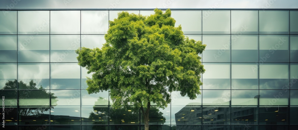 Poster reflecting trees on cloudy day in office building windows