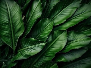 Abstract green leaf texture, nature background, tropical leaf, Generative AI