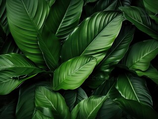 Abstract green leaf texture, nature background, tropical leaf, Generative AI