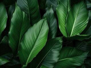 Abstract green leaf texture, nature background, tropical leaf, Generative AI