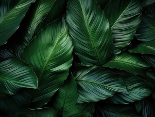 Abstract green leaf texture, nature background, tropical leaf, Generative AI