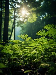 Fototapeta na wymiar green forest trees with sun ray background, Generative AI