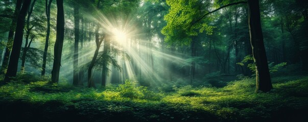 Fototapeta na wymiar green forest trees with sun ray background, Generative AI