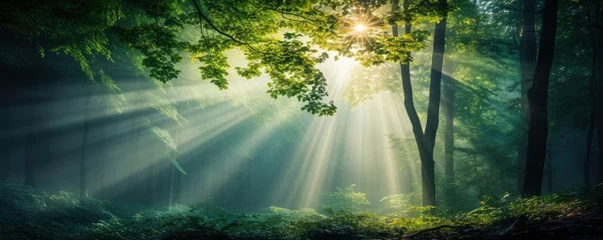 Foto op geborsteld aluminium Pistache green forest trees with sun ray background, Generative AI
