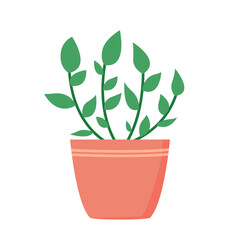 Zanzibar Plant Illustration